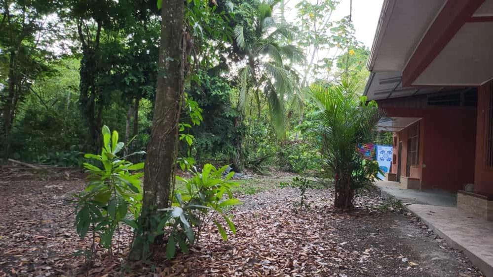 Hostel Manuel Antonio Park Jungle Екстериор снимка